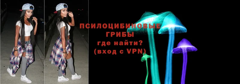 Галлюциногенные грибы Psilocybe  darknet какой сайт  Бородино 